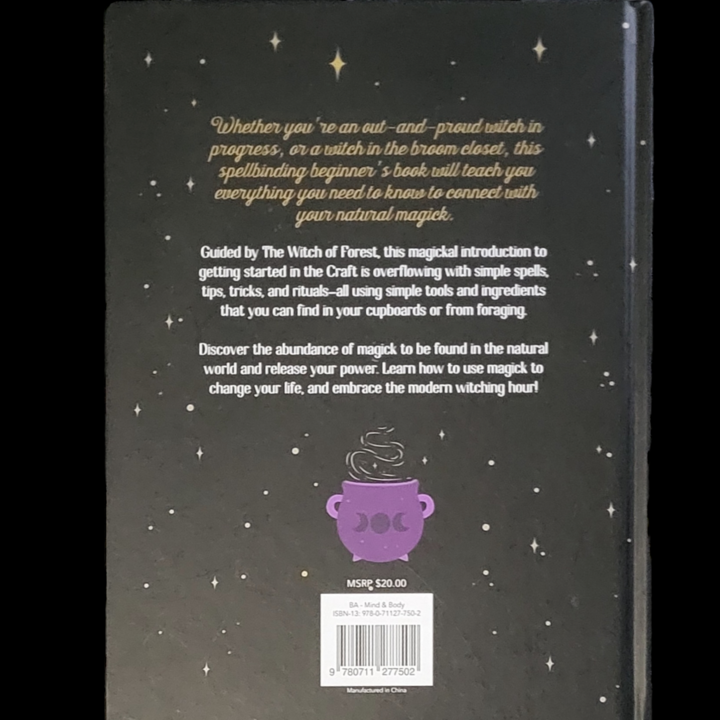 The Witch of The Forest's Guide To Natural Magick by Lindsay Squire