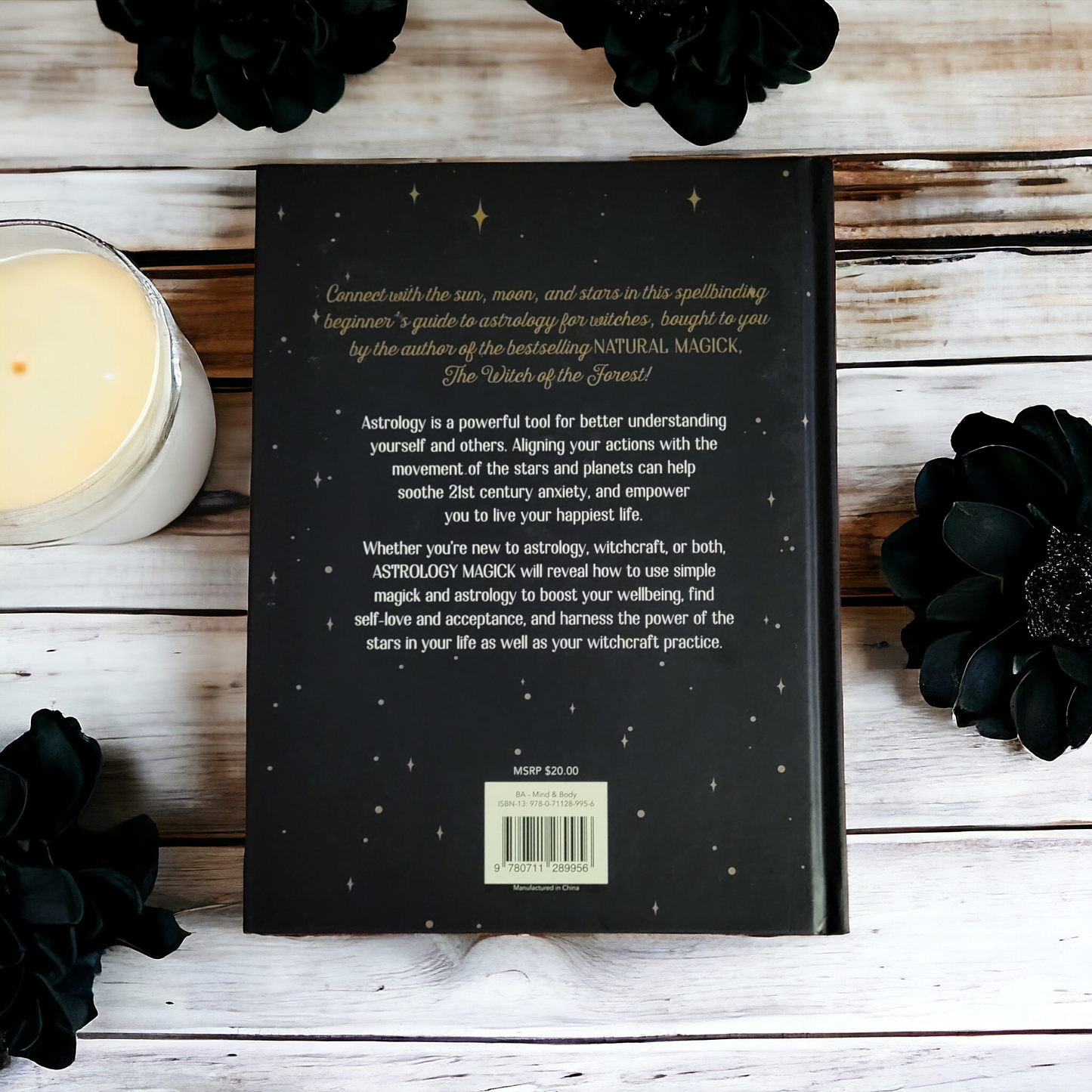 (New) The Witch Of The Forest Guide to Astrology Magick by Lindsay Squire