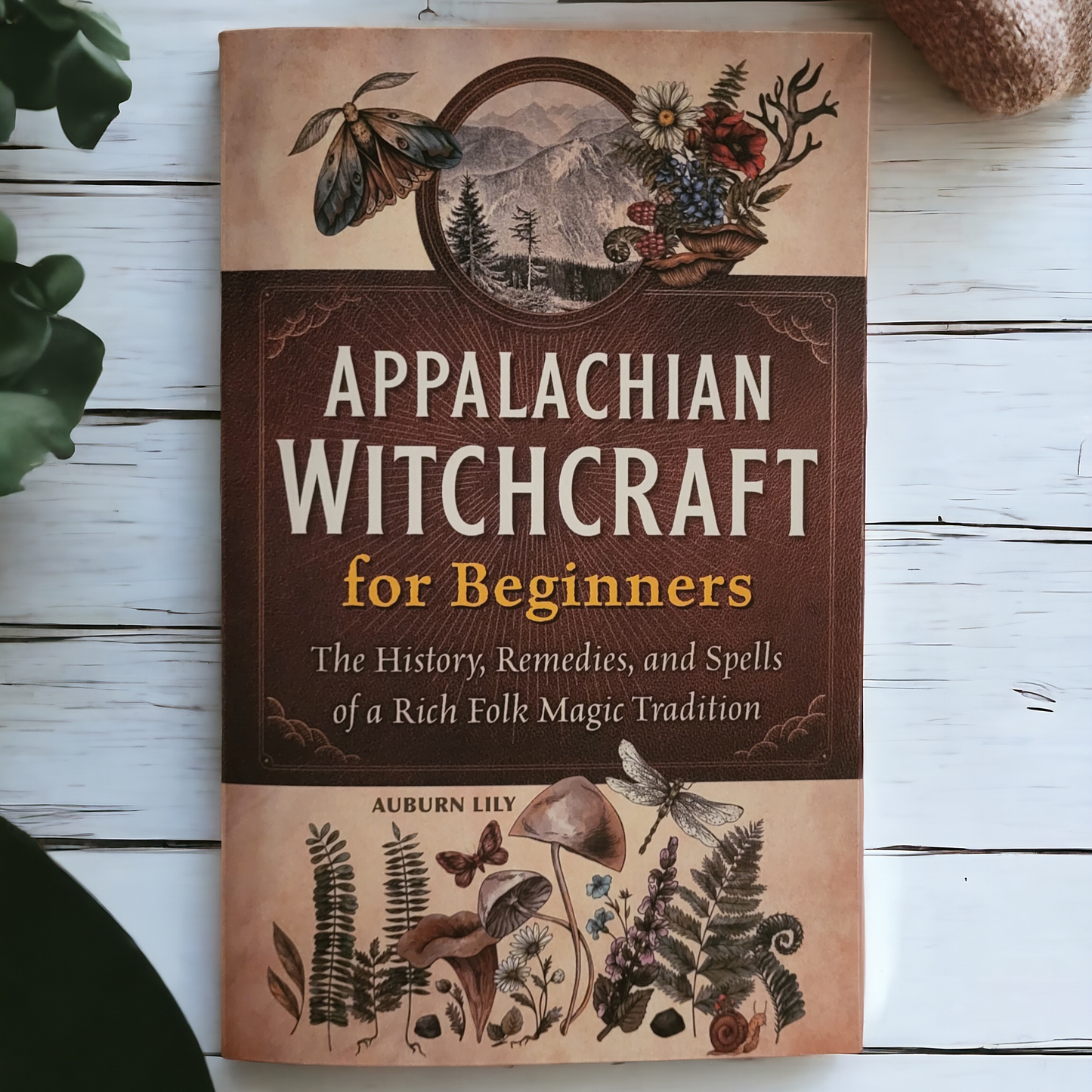 Appalachian Witchcraft For Beginners by Auburn Lily