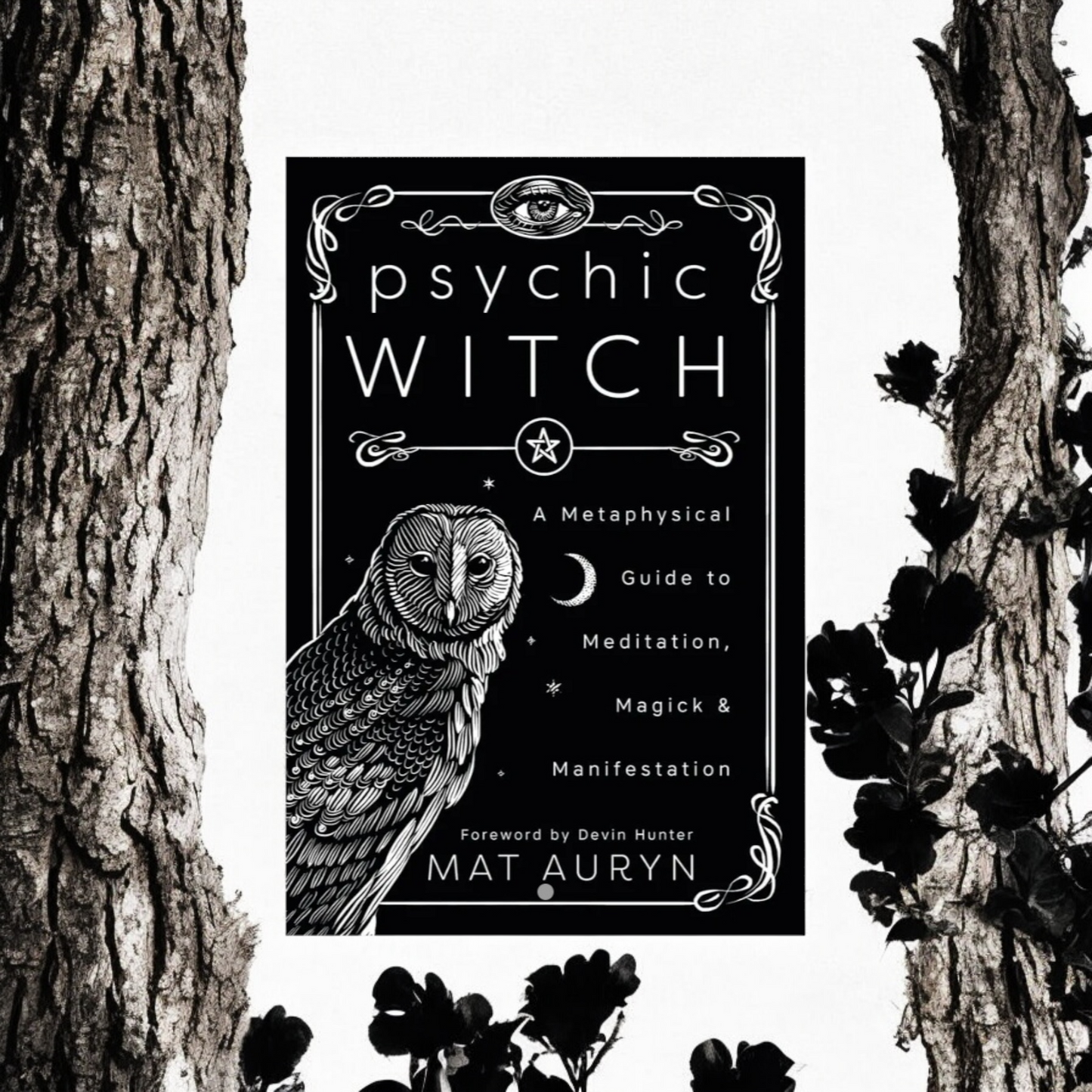 Psychic Witch: A Metaphysical Guide to Meditation, Magick & Manifestation by Mat Auryn
